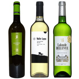 大人気品種 ソーヴィニヨン・ブラン 飲み比べ 3本 白ワイン セット ワイン セット 白 ワインセット wine ギフト 母の日 750ML