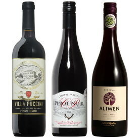 ピノ好き集合！ピノノワール3本セット ピノ・ノワール ワイン セット 赤 赤ワイン ワインセット wine ギフト 父の日 750ML