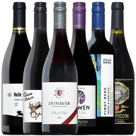 ピノ好き集合 銘醸地のピノ飲み比べ！ピノノワール6本セット 送料無料 ピノ・ノワール 赤 赤ワイン ワイ…