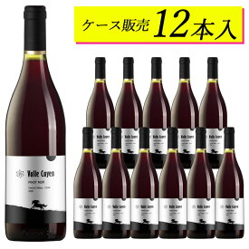 【ケース販売12本】ヴァイエ・クイエン ピノ・ノワール チリワイン【ヴィンテージは順次変わります】日本に届いた状態のカートンのままお届けしますギフト 母の日 750ML