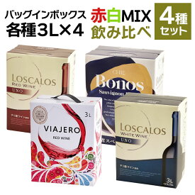 バッグインボックス 赤2白2 飲み比べ 4箱セット　赤 白 スペイン チリ ワイン セット 赤ワイン 白ワイン BIB 3000ml 3L×4種 wine BOX 送料無料 ギフト 母の日 12L