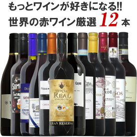 もっとワインが好きになる！金賞受賞入り世界の赤ワインの魅力発見12本セット