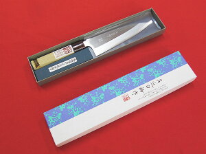 XeXuߔ~v nMs16.5cm