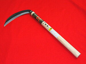 RАn19.5cm 39cmt