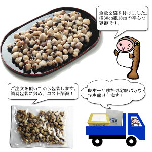 全量盛り付けました