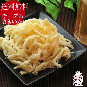 ゆうパケ送料無料チーズinさきいか1000円いかおつまみ珍味