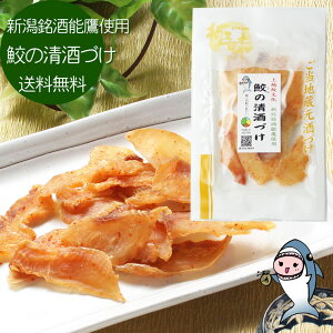 yGg[Ń|Cg7{ 12/4`12/11z V\gp L̐Â 756~  ܂ y 䂤pP z T  IWi\tg T ߃W[L[ L̊ 