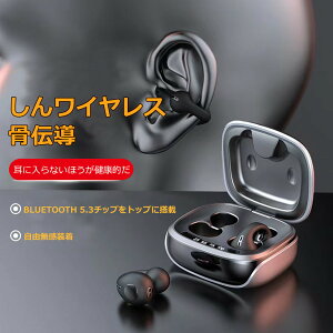 cKi Bluetooth5.2 `Cz JQȍ`^CvŐ[eNmW[EǂȂ mCYLZO IPX5 hlԍHwfUC SI[vC[ 