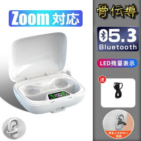 骨伝導イヤホン 本物 超美品！Bluetooth5.3 高音質 骨伝導イヤホン 生活防水 会議/在宅勤務/散歩/スポーツにおすすめ 快適 音漏れ防止耳掛け式 骨伝導イヤホン ワイヤレスイヤホン 骨伝導 ヘッドホン Bluetooth イヤホン マイク付き ワイヤレス イヤホン スポーツ