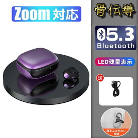 骨伝導イヤホン 本物 超美品！Bluetooth5.3 高音質 骨伝導イヤホン 生活防水 会議/在宅勤務/散歩/スポーツにおすすめ 快適 音漏れ防止耳掛け式 骨伝導イヤホン ワイヤレスイヤホン 骨伝導 ヘッドホン Bluetooth イヤホン マイク付き ワイヤレス イヤホン スポーツ