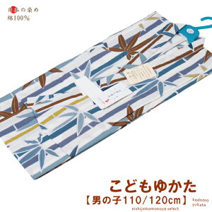 y110/ 120cmzyq/j̎qpz100%- q 䂩/O[AAA|ȕlA̗t