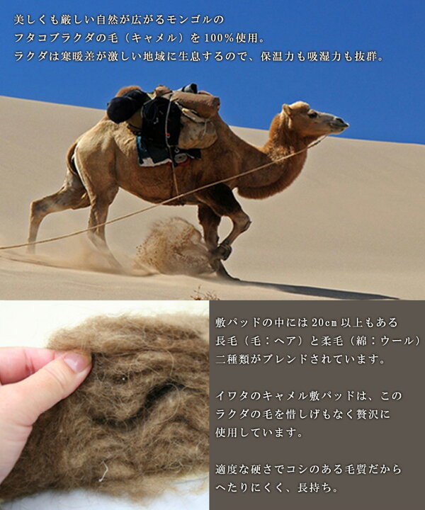 楽天市場 ポイント5倍 イワタ キャメル敷きパッド ダブルサイズ140 200cm レギュラータイプ 4 3kg Iwata 敷布団 敷きふとん 敷ふとん 天然素材 キャメル ダブル 岩田 3色展開 ブルー ピンク ホワイト 枕とマットレスの店布団のわたや館