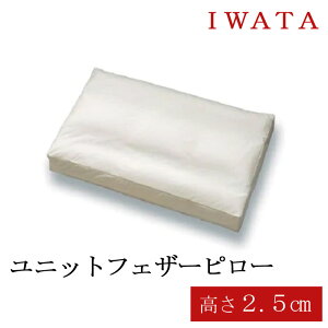 C^ jbgtFU[s[  2.5cm c IWATA  ܂ H tFU[ tFU[܂ H܂ 􂦂 