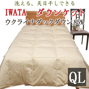 C^ 􂦂 _EPbg NC[O 210×210cm ENCi_bN_E85 c IWATA Q |zc zc |zc Hъ|zc Hѕzc Hє| ėp|zc  H t DE-KS87