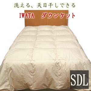 C^ 􂦂 _EPbg Z~_uO 170×210cm zCg_bN_E80 c IWATA Q |zc zc |zc Hъ|zc Hѕzc Hє| DE-KS26-300