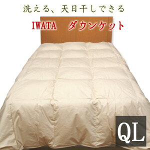 C^ 􂦂 _EPbg NC[O 210×210cm zCg_bN_E80 c IWATA Q |zc zc |zc Hъ|zc Hѕzc Hє| DE-KS26-300