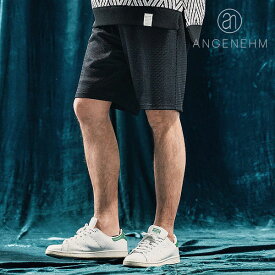 2025 春夏 先行予約 5月下旬～6月上旬入荷予定 アンゲネーム ANGENEHM Sheer fabric shorts ag04-007scf メンズ ショートパンツ 送料無料 キャンセル不可