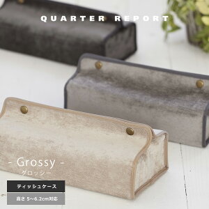 eBbVP[X eBbV{bNX  xA ObV[ Grossy eBbVJo[ eBbV Jo[ Ǌ| ݂艺 tente NH[^[|[ Mtg 蕨 v[g ̓ z