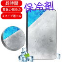 ＼楽天1位／【保冷剤 ステンレス製】驚異の保冷力 長時間冷却 アイスパック 冷蔵冷凍対応 熱中症対策 アウトドア キャ…