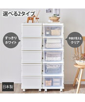 リブウェル 収納ケース インテリア・寝具・収納 の通販