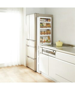 Lb` [ ^CvIׂ錄 S 17cm uE/ o^CvA/o^CvB/o^CvC fbhXy[X[ jbZ nissen