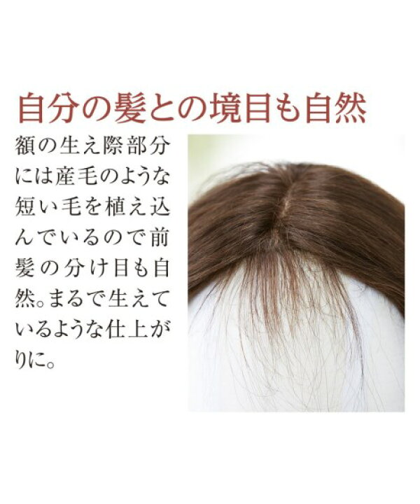 楽天市場】ウィッグ アートネイチャー 生え際ナチュラル 人毛100％フル 