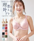 ブラジャー 大きいサイズ ワイヤー入り レディース シームレス ひびかない シンプル モールド ムレにくい 吸汗速乾 延長ホック付 黒 ベージュ ピンク C85/C90/C95/D85/D90/D95/E85/E90/E95/E100/E105 インナー 女性 ニッセン nissen