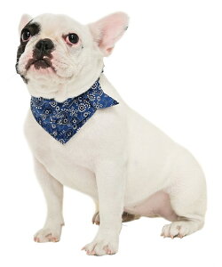 バンダナ 犬用 ペット服の通販 価格比較 価格 Com
