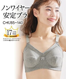 【15%セール 6/11 1:59まで】ノンワイヤーブラジャー 大きいサイズ レディース 綿混 ノンワイヤー 安定 ネイビー/ペールブルー/ラベンダー/杢グレー C80〜D110 ブラジャー 女性 インナー ニッセン nissen