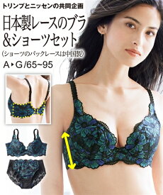 楽天市場 トリンプ セットの通販 楽天市場 トリンプ セットの通販