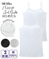 肌着 インナー キッズ 綿100％ ソフトカップ付 白無地 キャミソール 2枚組 女の子 子供服 ジュニア服 白 …