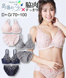 ブラジャー ショーツ セット 大きいサイズ レディース フルカップ 脇スッキリタイプ ネイビー/メタリックグレー D95_3L-4L/D100_4L-5L ブラショーツ 女性 インナー パンツ パンティ ニッセン nissen