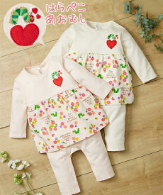 楽天市場 はらぺこあおむし 服の通販