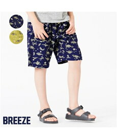 楽天市場 Breeze 恐竜の通販