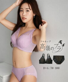 ブラジャー ショーツ セット 大きいサイズ レディース グラマニア フルカップ リフトタイプ 黒 G95_4L-5L/G100_5L-6L ブラショーツ 女性 インナー パンツ パンティ ニッセン nissen