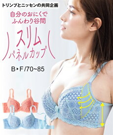 ブラジャー ワイヤー入り レディース スリムパネルカップさらりとスッキリ整える ( トリンプ ) オレンジシャーベット/ブルーハワイシャーベット B70〜D85 インナー 女性 ニッセン nissen