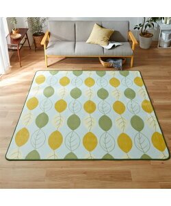 O J[ybg O~ 􂦂 k[t}CNt@Co[O nj[CG[/~gO[ 200×300cm  jbZ nissen