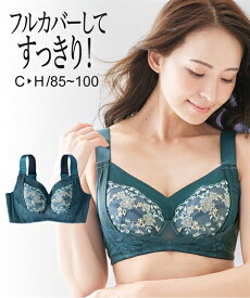 【34%OFFセール 4/30 10:59まで】ブラジャー ワイヤー入り 大きいサイズ レディース バストをフル カバー するリフトアップ機能付フルカップ 脇 背中すっきり グリーン系 G85〜H100 インナー 女性 ニッセン nissen