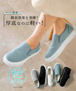 Xj[J[ fB[X  y Vv Xb| CY3E Be[WTbNX fj /O[/zCg/×/× 22.0`22.5/23.0`23.5/24.0`24.5/25.0`25.5/26cm C V[Y jbZ 