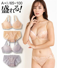 ブラジャー ショーツ セット レディース フラワー総 レース ブラショーツ 女性 インナー パンツ パンティ グレー×ピンク/ベージュ×ピンク E70_M〜F80_L ニッセン nissen