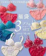 【超お得】トリンプ 福袋 ブラジャー ショーツ 上下セット 3セット組 おまかせ ブラショーツ 大きいサイ…