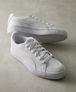 v[} fB[X V R[g oN C V[Y EBXp[zCg×`R[guE/v[}ubN×A[hubT/v[}ubN×EBXp[zCg 22.5`25cm jbZ n