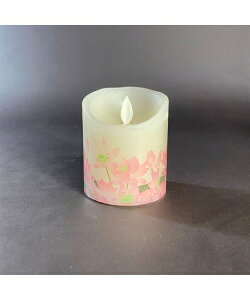 LED낤 ߂ t  H ~ /@ | 1/2g | jbZ nissen