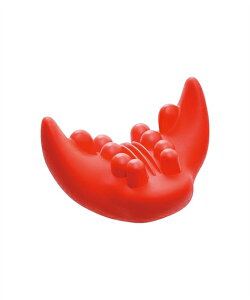 _CGbg  X}z΍Xgb`[ jbZ nissen