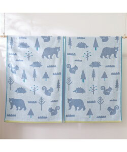 oX^I QX̓ F2Zbg t  H ~ z CG[/O[ |  60×120cm | jbZ nissen