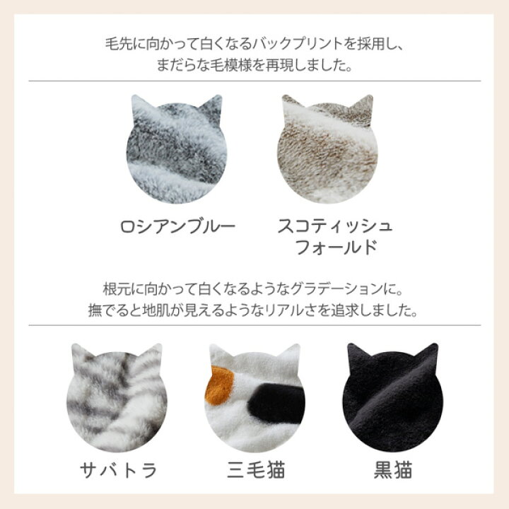 楽天市場】《4/10 1:59まで！P5倍×クーポン》＼SNSで話題／【猫Feel 