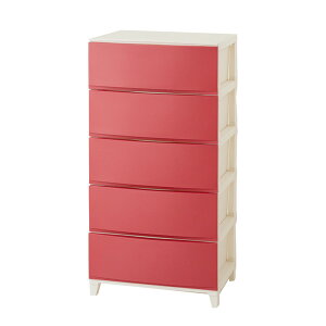 `FXg J[Iׂ`FXg { ߗގ[ vX`bNP[X ߑP[X [ {bNX N[[bg [ Vv rO q Q 34cm(3i)`54cm(5i) jb