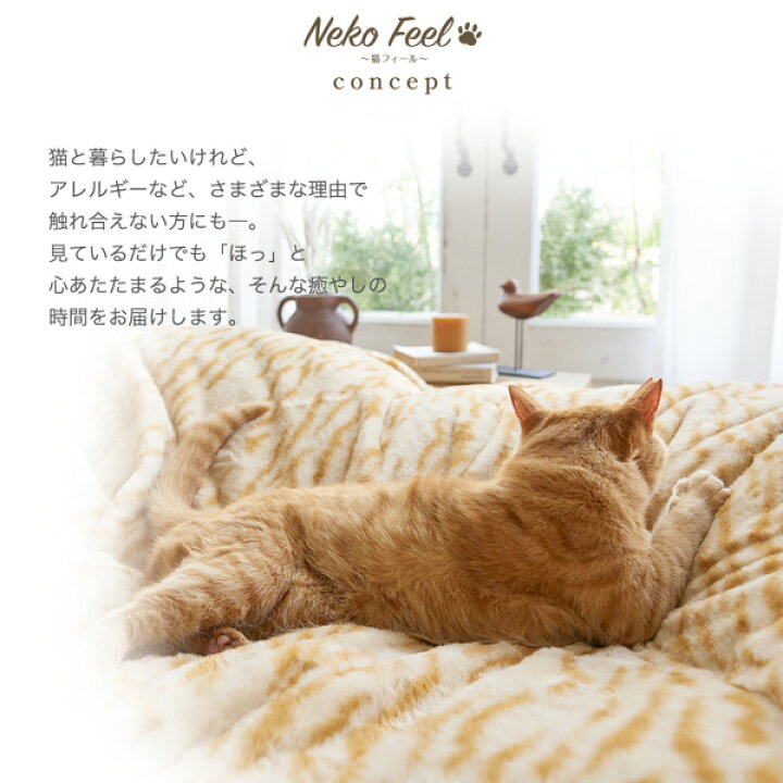 楽天市場】《本日ワンダフルデー！P5倍》＼SNSで話題／【猫Feel  