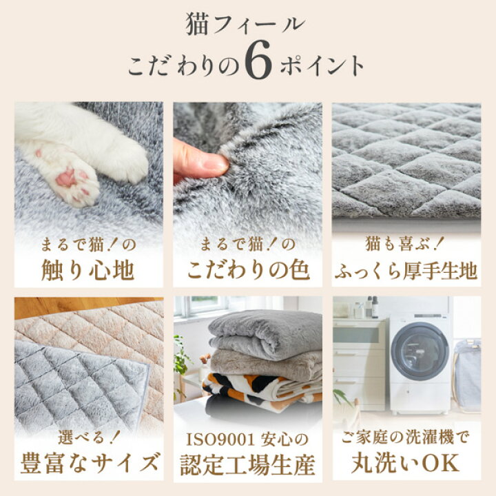 楽天市場】《4/10 1:59まで！P5倍×クーポン》＼SNSで話題／【猫Feel 