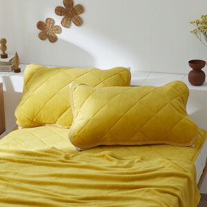 s12/4 20:00`SiP10{×N[|tpbh }CNt@Co[ ӂ pbh F2gyFUWAmez  ܂Jo[ 2g 43×63cm   ~ ΍ ~ ς xbhpb